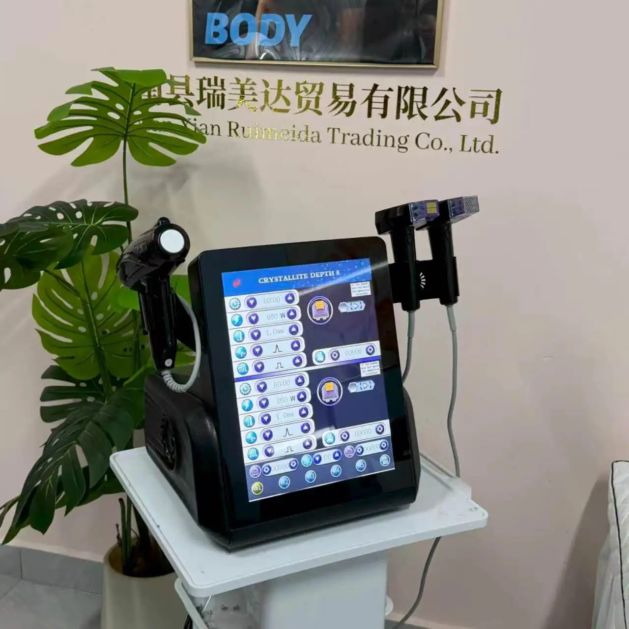 Professional Morpheus 8 RF Microneedling Machine Facial Skin Care Beauty With12 24 40 Nano Pin Cartridge