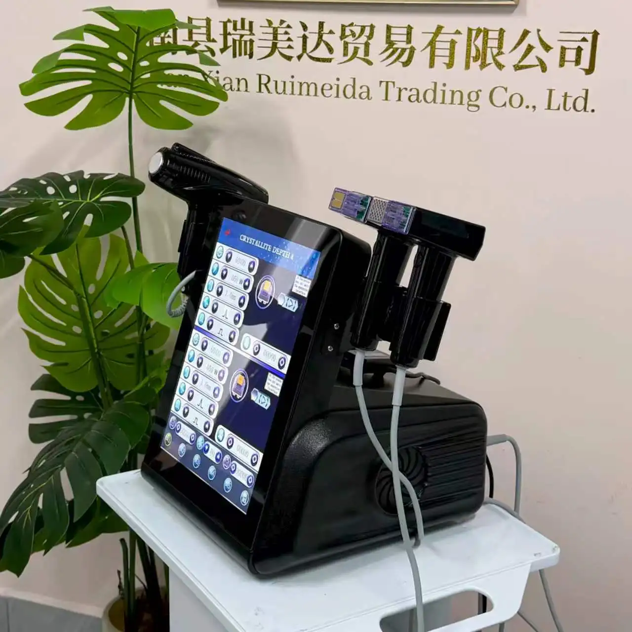 Professional Morpheus 8 RF Microneedling Machine Facial Skin Care Beauty With12 24 40 Nano Pin Cartridge