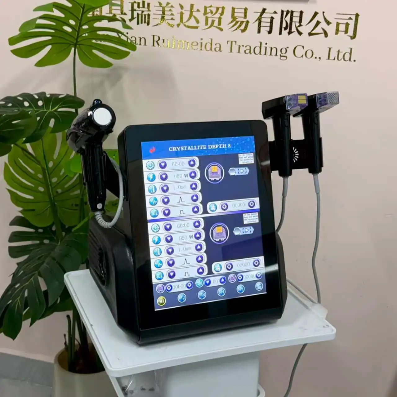 Professional Morpheus 8 RF Microneedling Machine Facial Skin Care Beauty With12 24 40 Nano Pin Cartridge