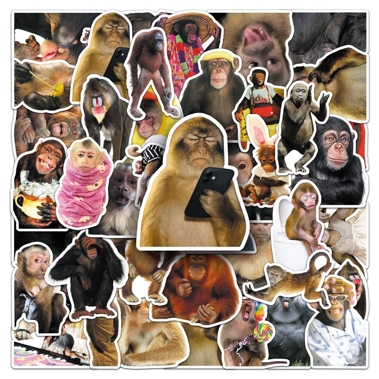 50Pcs Crazy Funny Monkey & Orangutan Meme Stickers Decoration Mobile Phone Waterproof Notebook Skateboard Toy Gift Sticker