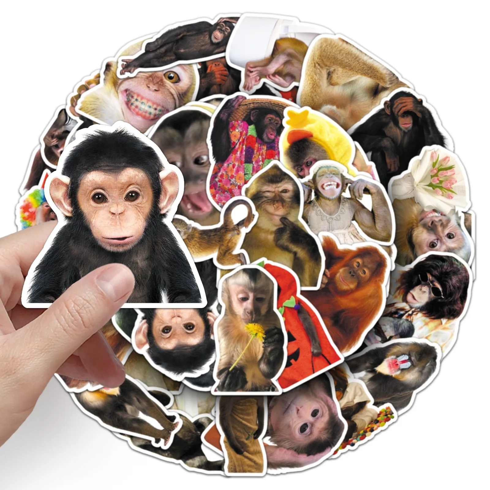 50Pcs Crazy Funny Monkey & Orangutan Meme Stickers Decoration Mobile Phone Waterproof Notebook Skateboard Toy Gift Sticker