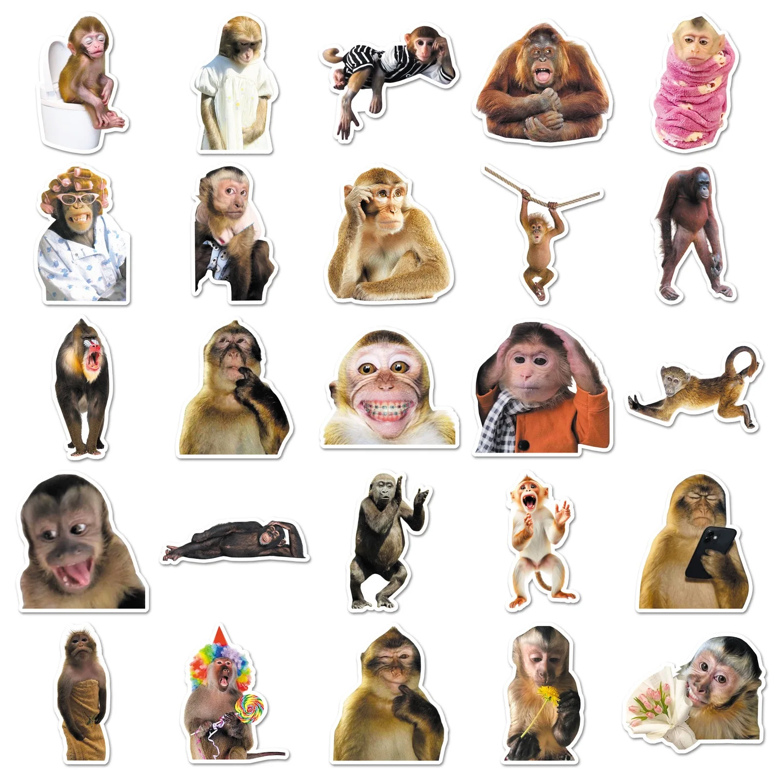 50Pcs Crazy Funny Monkey & Orangutan Meme Stickers Decoration Mobile Phone Waterproof Notebook Skateboard Toy Gift Sticker