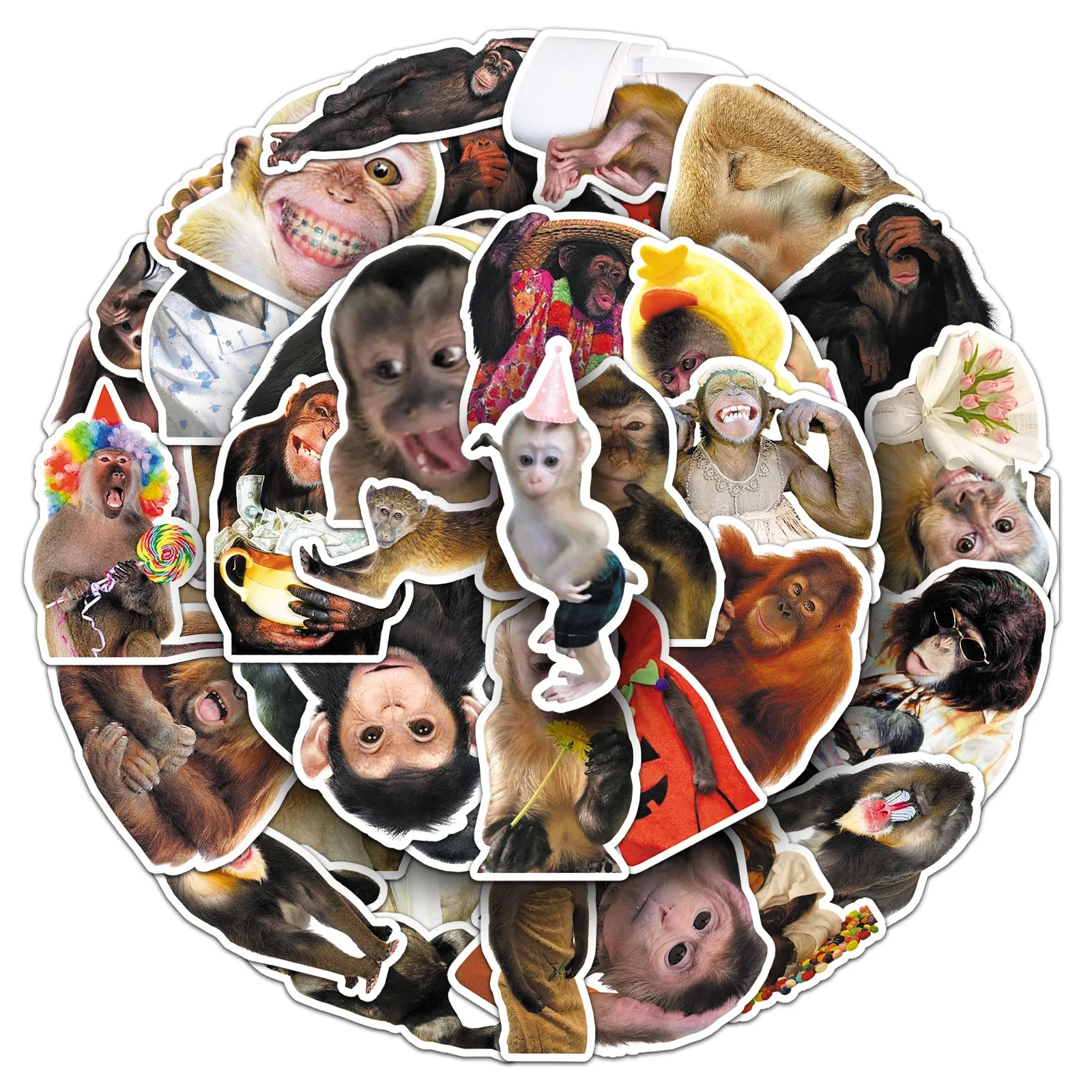 50Pcs Crazy Funny Monkey & Orangutan Meme Stickers Decoration Mobile Phone Waterproof Notebook Skateboard Toy Gift Sticker