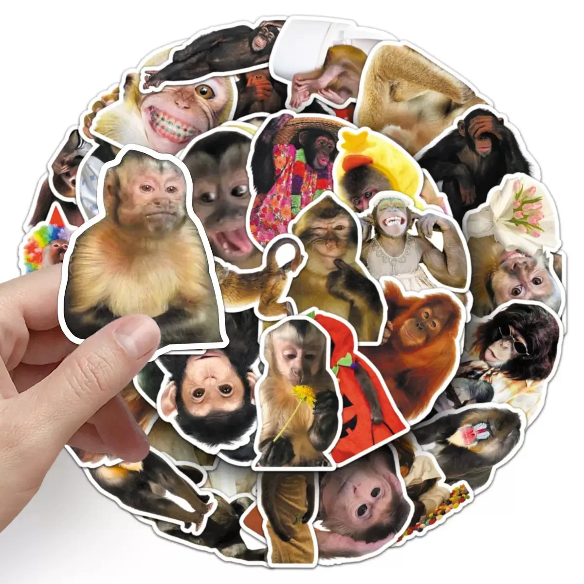 50Pcs Crazy Funny Monkey & Orangutan Meme Stickers Decoration Mobile Phone Waterproof Notebook Skateboard Toy Gift Sticker