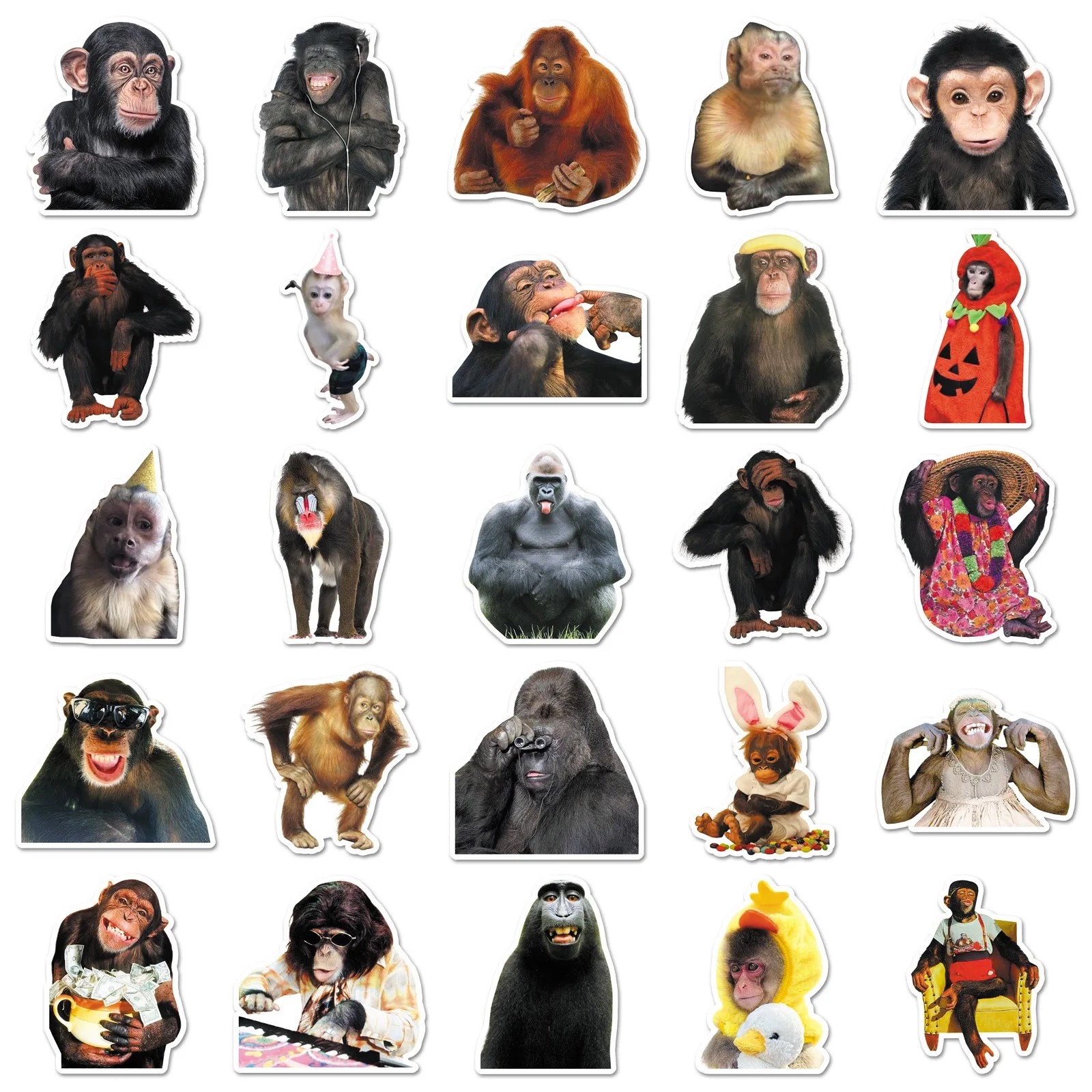 50Pcs Crazy Funny Monkey & Orangutan Meme Stickers Decoration Mobile Phone Waterproof Notebook Skateboard Toy Gift Sticker