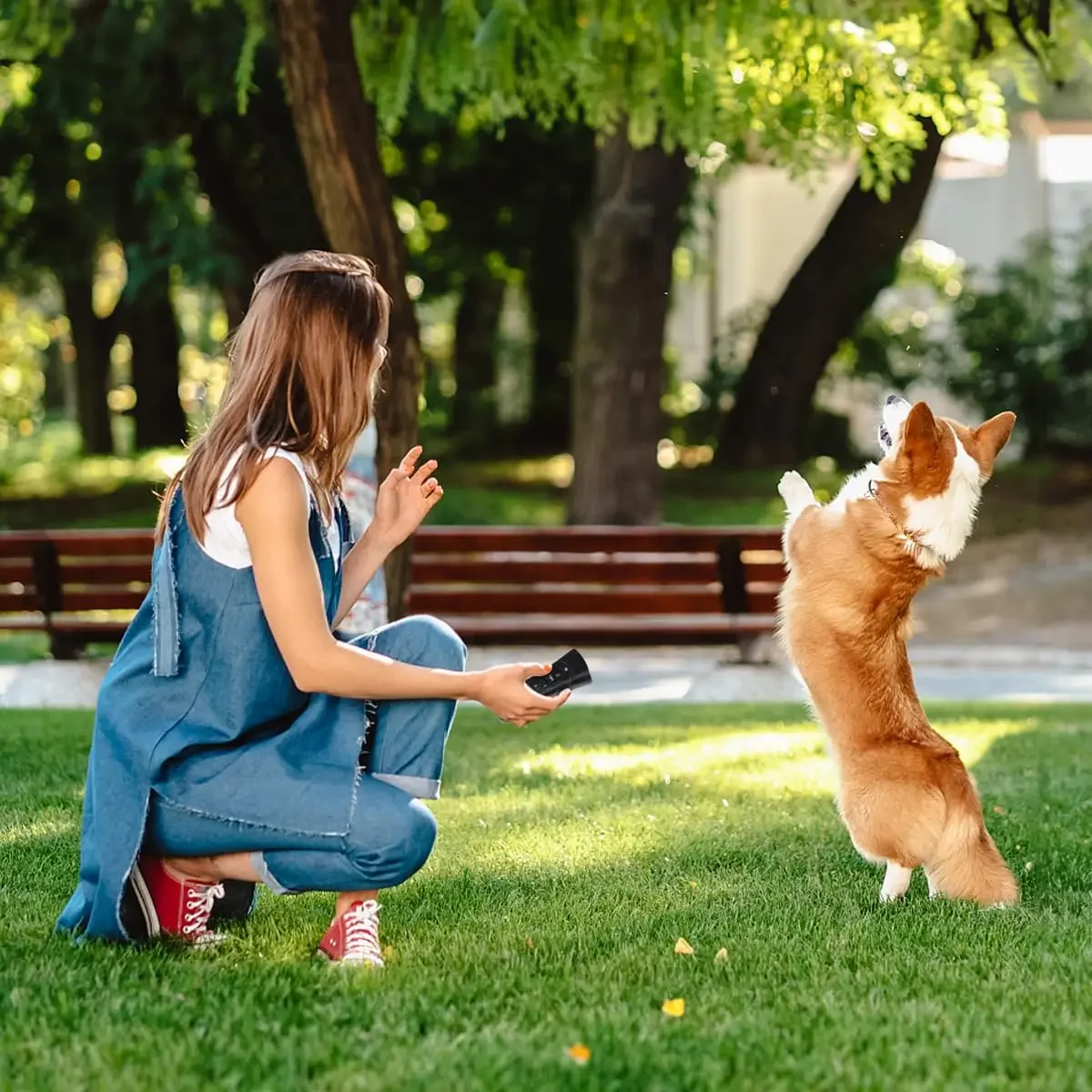 1Pcs Dog Repeller LED Ultrasonic From Dogs Anti Barking Device Laser Dog Repeller Training Device