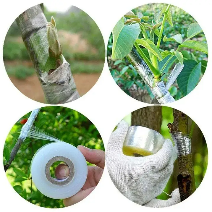 Self-Adhesive Grafting Tape Stretchable Plant Grafting Film for Fruit Tree Nursery Plants Seedlings Vine Floristry