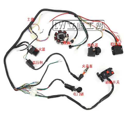 ATV Wiring Harness Kit, Complete Electric Wiring, Harness CDI Ignition Coil with Lead For 4-stroke ATV QUAD 125-250CC
