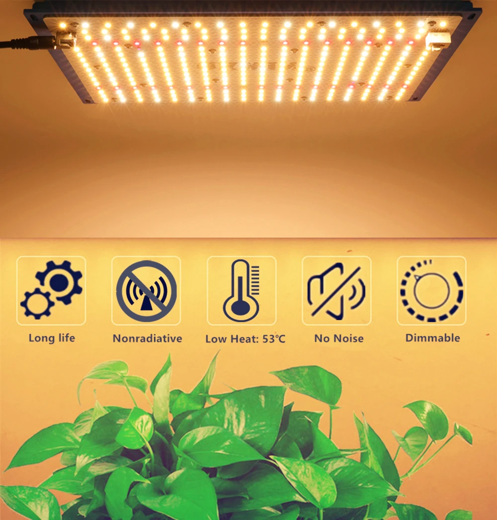 On sale Germany warehouse delivery 240W Quantum Board LM301B Full Spectrum Grow Light LED Meanwell Driver
