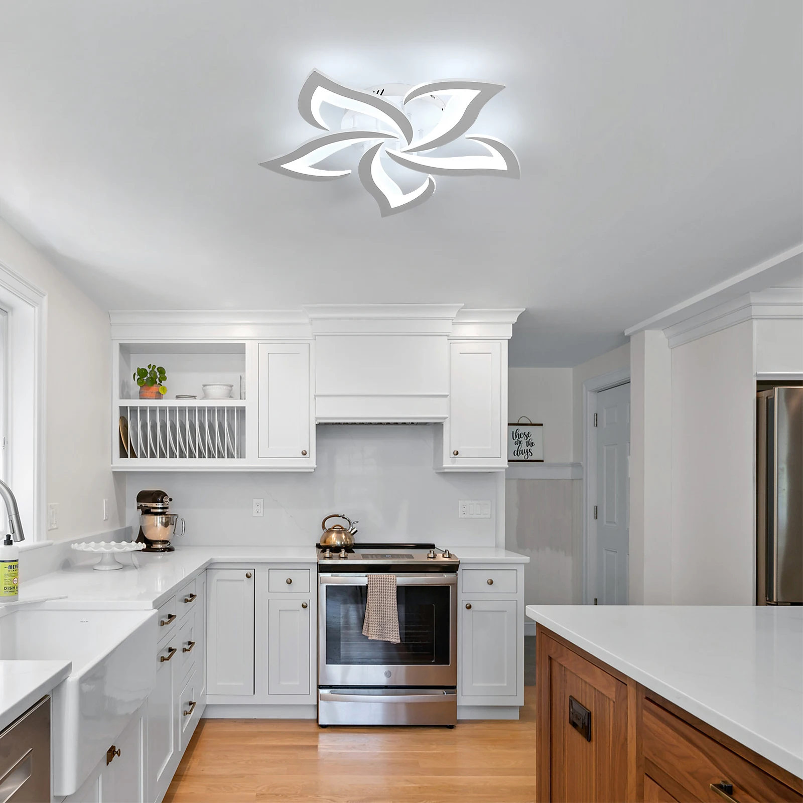 Petal Design Ceiling Lights,LED Ceiling Lamps 60W 6750LM,Cool White 6500K Mordern Ceiling Lighting for Living Room