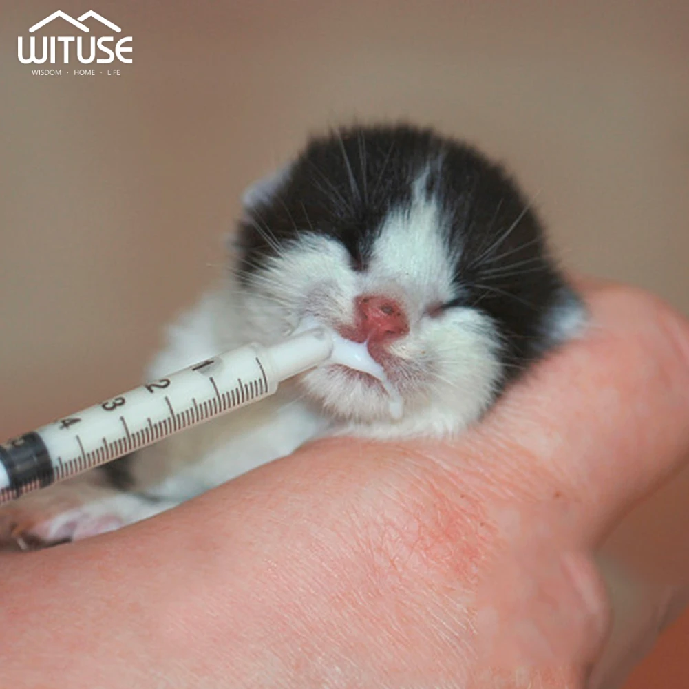 1ml 2.5ml 3ml 5ml 10ml 20ml 30ml 50ml 10Pcs Disposable Syringe Pet No Sterile Feeder Needle Glue Disposable Syringe