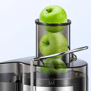 1000W Juicer Machine Juice Maker Whole Fruit Extractor Centrifugal Whole Fruit Vegetable Juice Extractor Stainless Steel 500ML