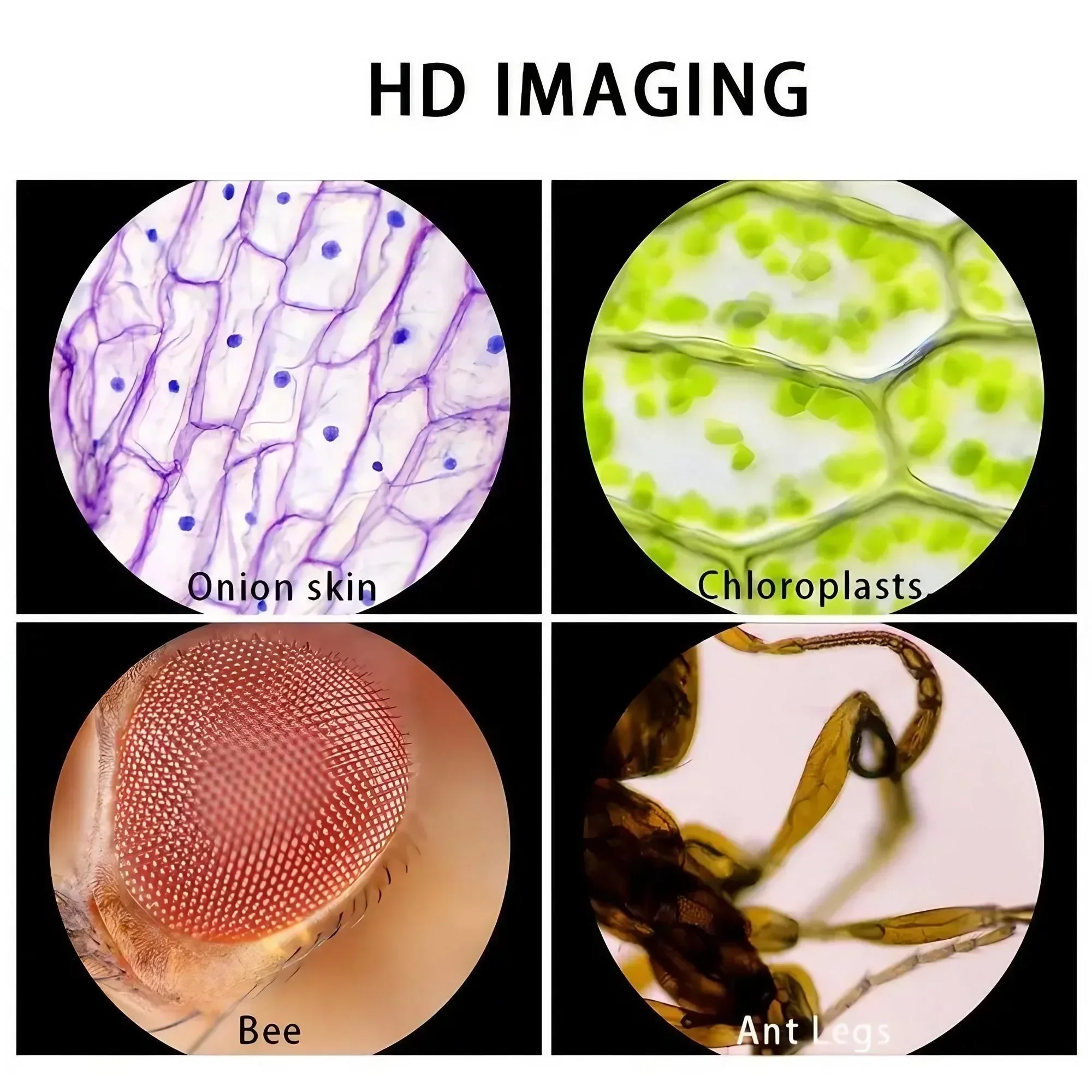 Portable Handheld Microscope 60X to 100X Magnification for Scientific Observation Perfect for Experiments and Field Research