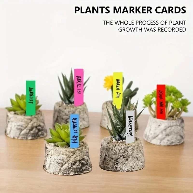 100pcs Garden Plant Labels Plant Accessories Flower Pots Plastic Plant Tags Nursery Markers Label Tray Mark DIY Tool