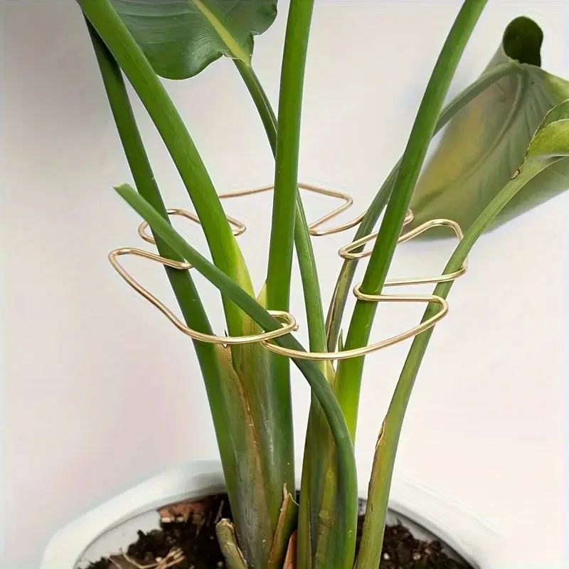 1Pc Large Hanging Plant Stand, Iron Hooks, Suitable for Flowerpot Decoration, Indoor and Outdoor Use