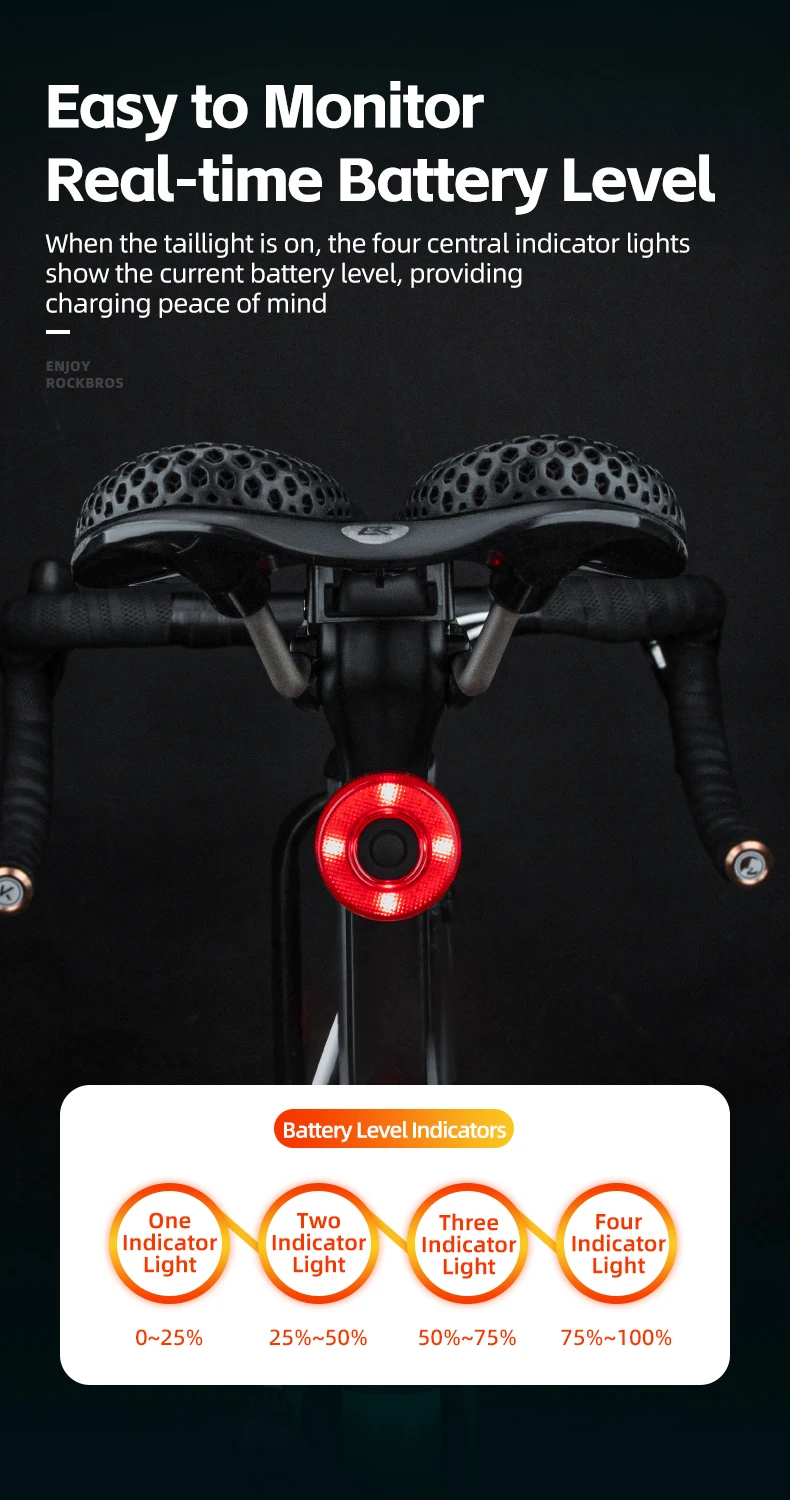 ROCKBROS Smart Bike Tail Light Bicycle Rear Lights IPX6 Waterproof Bike Lights for Night Riding with Type C Rechargeable