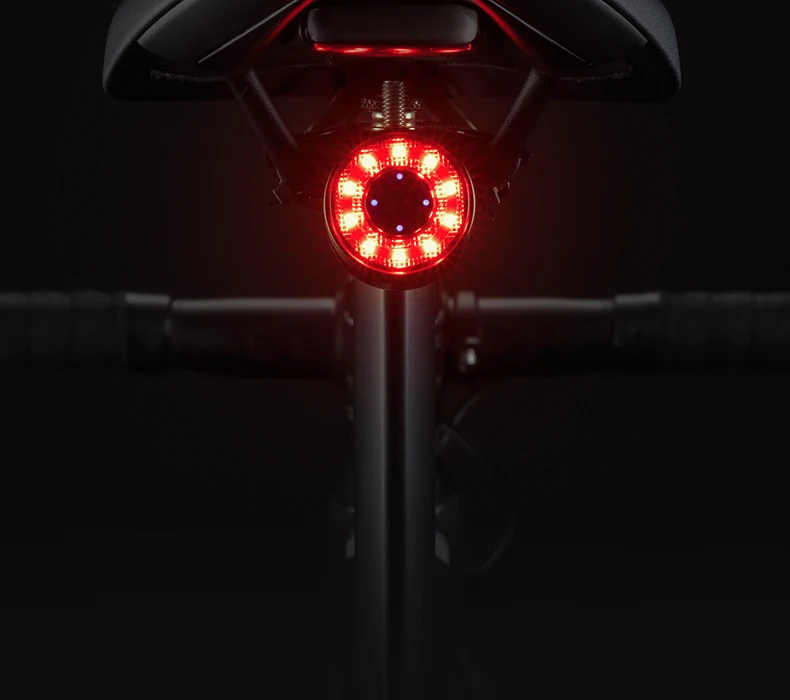 ROCKBROS Bicycle Tail Light Smart Brake Sensing Rear Bike Light Aluminum Waterproof Type-C MTB Road Warning Cycling Taillight