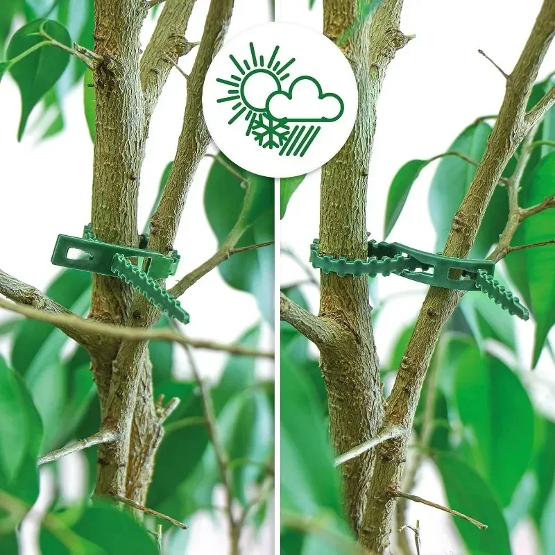 50-1000pcs Adjustable Plastic Plant Cable Ties Reusable Cable Ties for Garden Tree Climbing Support Plant Vine Tomato Stem Clip