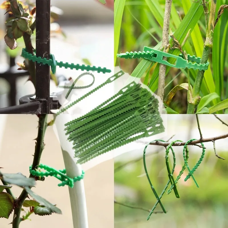 50-1000pcs Adjustable Plastic Plant Cable Ties Reusable Cable Ties for Garden Tree Climbing Support Plant Vine Tomato Stem Clip