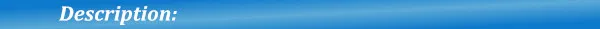 Gdstime 60MM Fan 24V 12V 5V Fan 60MMx15MM Brushless DC Exhaust Axial Cooling Fan 6cm 6015 Cooler for PC Equipment CPU Cooling