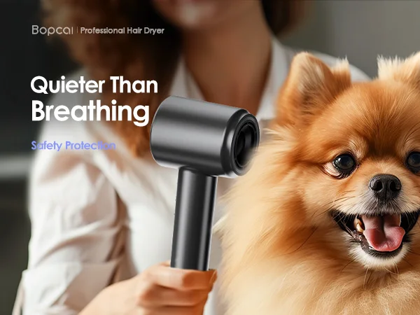 Electric High Speed Hair Dryer 120000RPM Brushless Negative Ions Blow Dryer 1600W Super Powerful Wind Lownoise Salon HairDryer