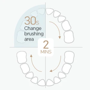 Fairywill Electric Sonic Toothbrush FW-D7 USB Charge Rechargeable Adult Waterproof Electronic Tooth Brushes Replacement Heads