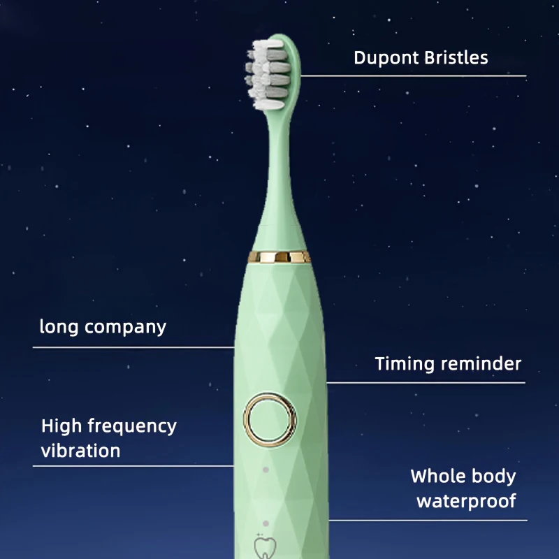 Electric Toothbrush Rotary Cleaning Teeth Brush Waterproof Electronic Tooth Brush With Timer USB Rechargeable Toothbrush 10 Head