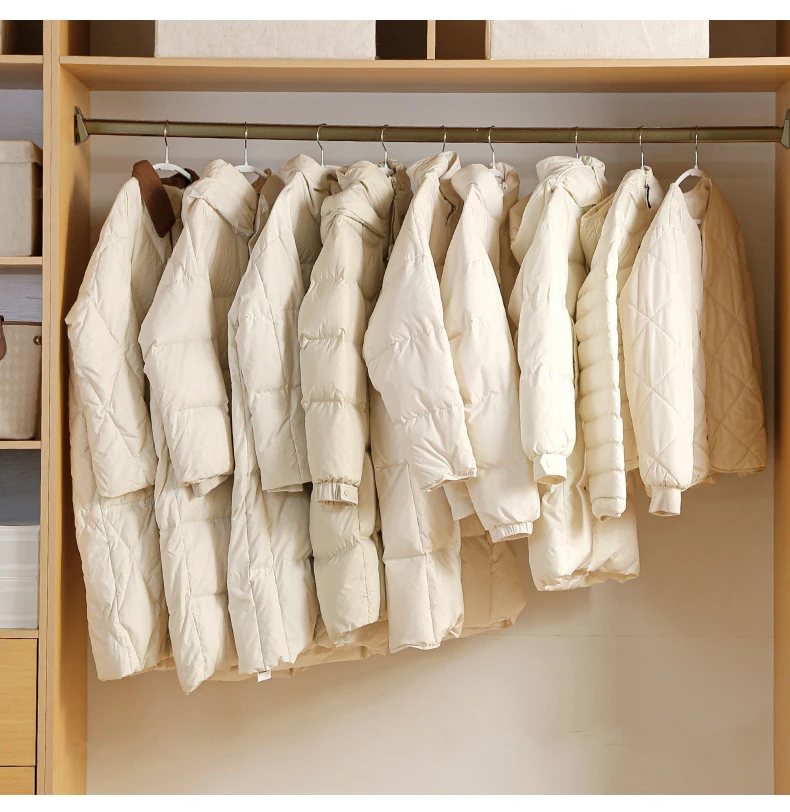 Wardrobe Organizer Bags Down Jacket Air Compression Hanging Bag with Zipper Clothes Dust Cover Bag Save Space Cloth Storage Bag