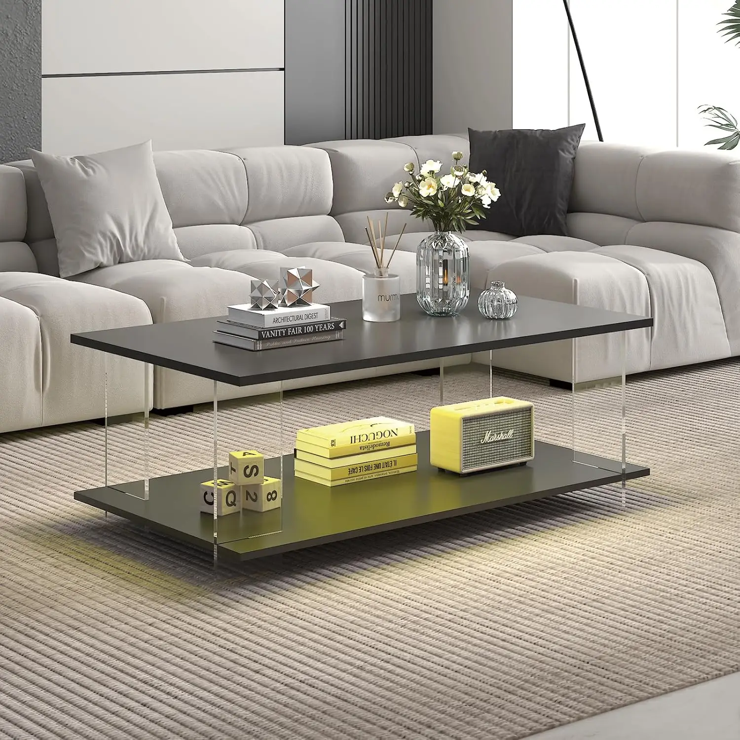 43" Acrylic Coffee Table Black Wood Top Minimalist Modern Rectangular Center Table LED Storage Shelf Small Space, Customized