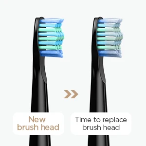 Fairywill Electric Sonic Toothbrush FW-507 USB Charge Rechargeable Adult Waterproof Electronic Tooth Brushes Replacement Heads S