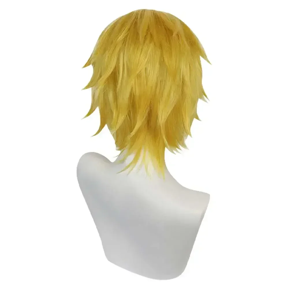 Nico Robin Sanji Cosplay Wig Anime Roronoa Cos Zoro Boa·Hancock Heat Resistant Synthetic Hair Carnival Halloween Party Wigs
