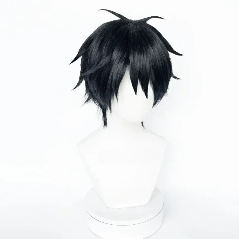 Monkey D. Luffy Cosplay Wig High Quality Anime Short Black Heat Resistant Synthetic Hair Party Hallowen Wigs