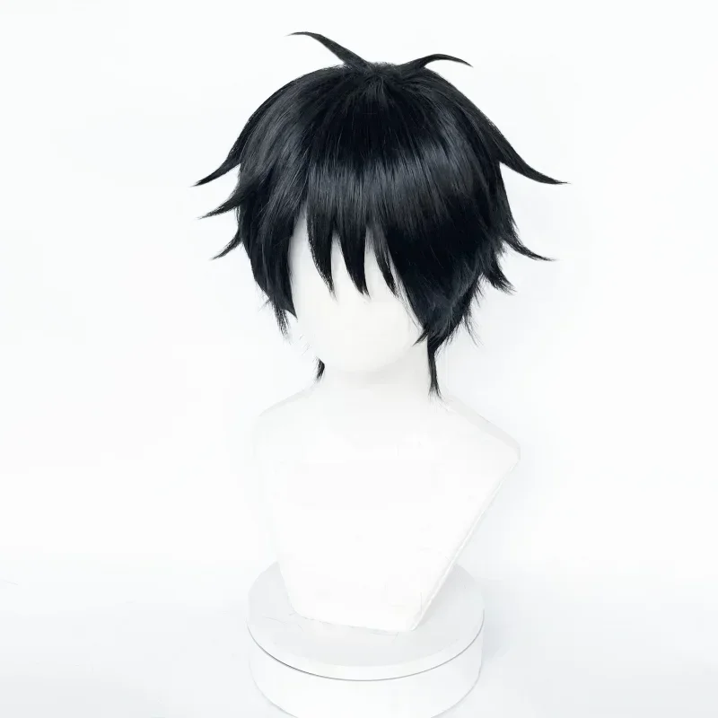 Monkey D. Luffy Cosplay Wig High Quality Anime Short Black Heat Resistant Synthetic Hair Party Hallowen Wigs