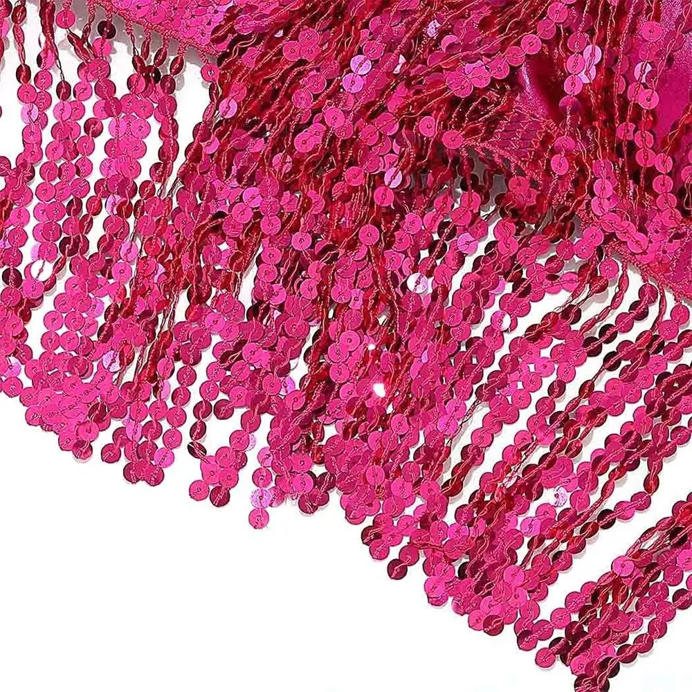 Belly Dance Sequin Fringe Top Nightclub Performance Halter Bra Dance Wear