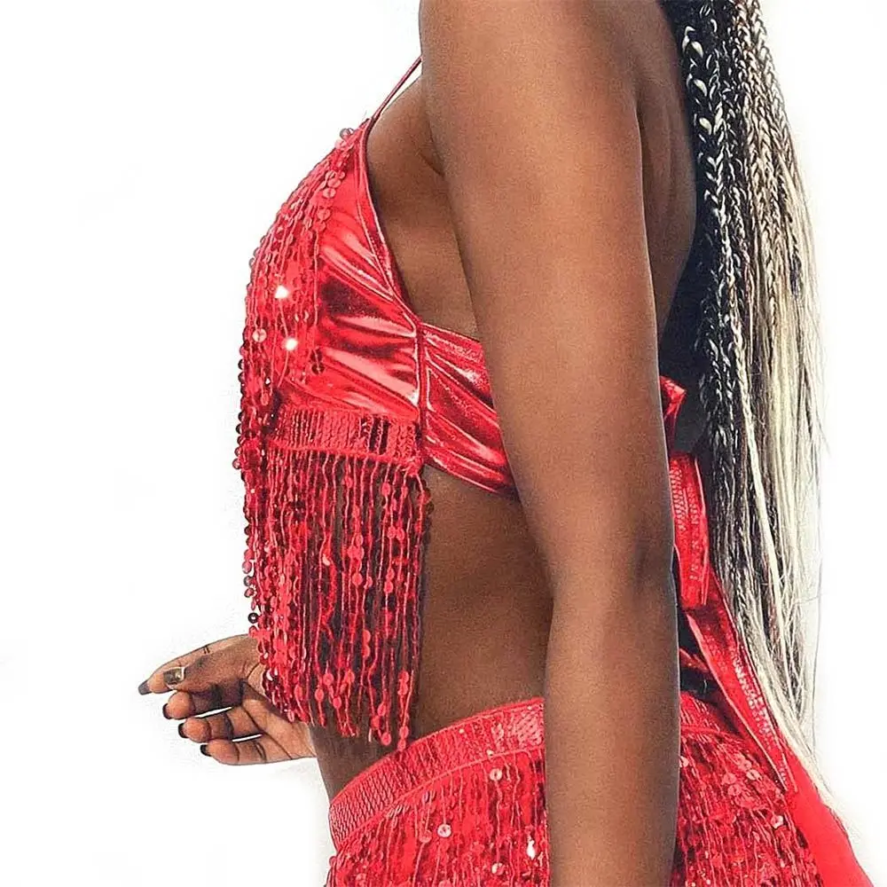 Belly Dance Sequin Fringe Top Nightclub Performance Halter Bra Dance Wear