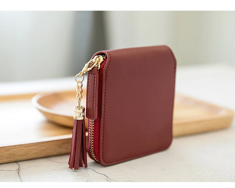 Women's Fringe Square Zipper Purse, Short Money Clip, All Simple Card Bag, Multi-functional Fashion Purse, New, 2024