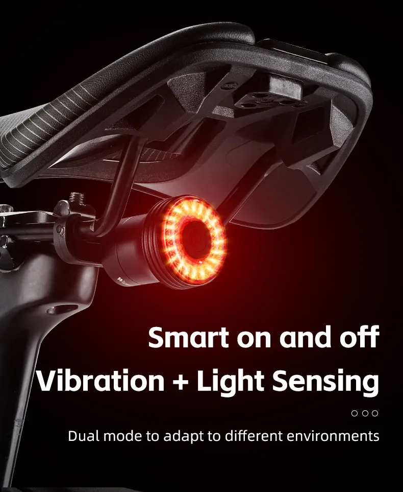 WEST BIKING Bike Tail Light Smart Sensing MTB Road Bike Rear Light  IPX6 Waterproof Type-C Charging Taillight Cycling Accessory