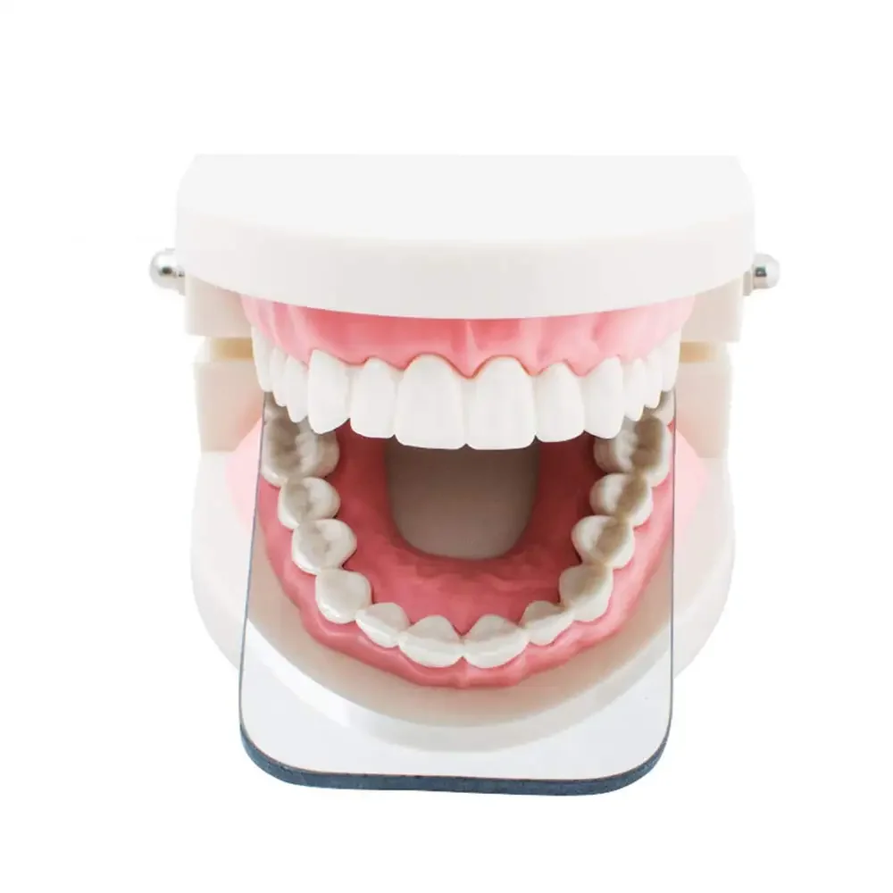 AG Dental Orthodontic Mirror Photography Double-Sided Mirrors Dental Tools Glass Material Dentistry Reflector Intra Oral