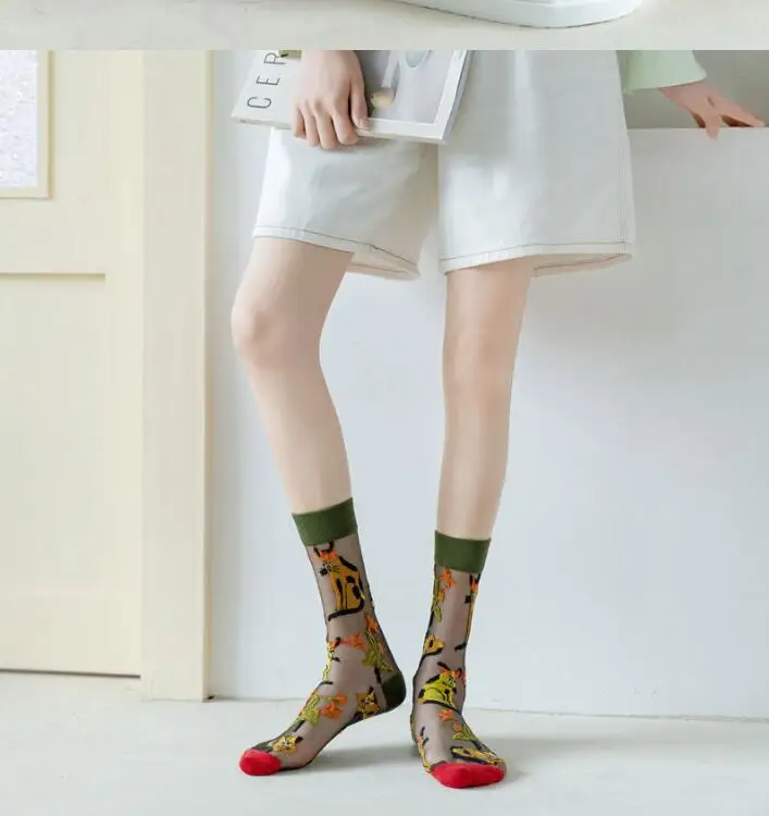 5 Pairs/Set France Hipster Design Glass Silk Floral Bird Funny Socks Women Transparent Art Ankle Socks Jacquard