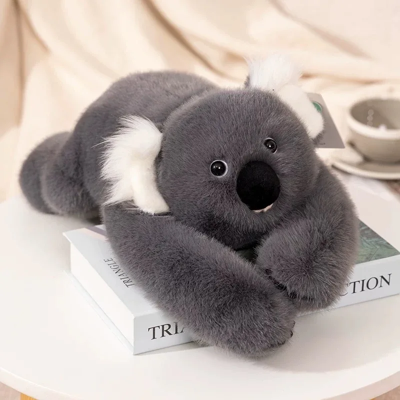 50/60/65cm Long Arm Stuffed Animal Arm Weighted Soft Plush Pillow Raccoon Koala Bear Sloth Dinosaur Gift for Boys and Girls