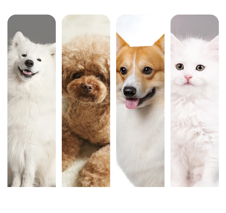 High Power Smart Dog Clippers Grooming Trimmer Pet Haircut Machine for Dogs Grooming Cutter Rechargeable Detachable Blade