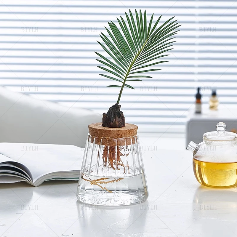 2/1 Pcs Hydroponic Plants Glass Flower Pots Home Decoration Transparent Small Vase Plant Pots With Base Tray Garden Accessories