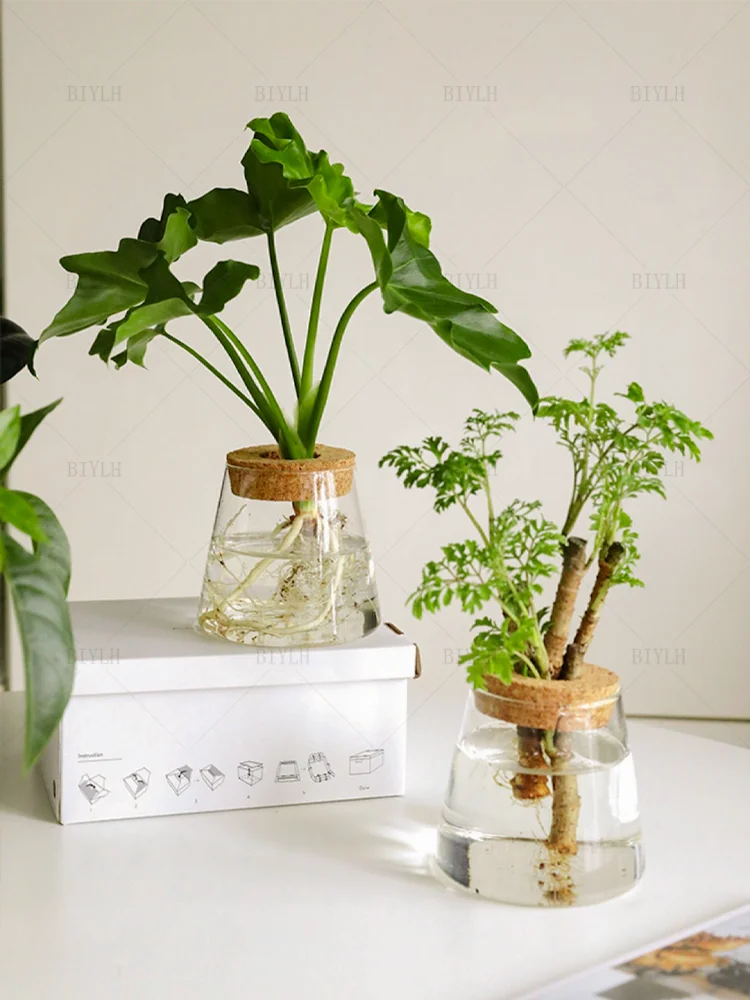 2/1 Pcs Hydroponic Plants Glass Flower Pots Home Decoration Transparent Small Vase Plant Pots With Base Tray Garden Accessories