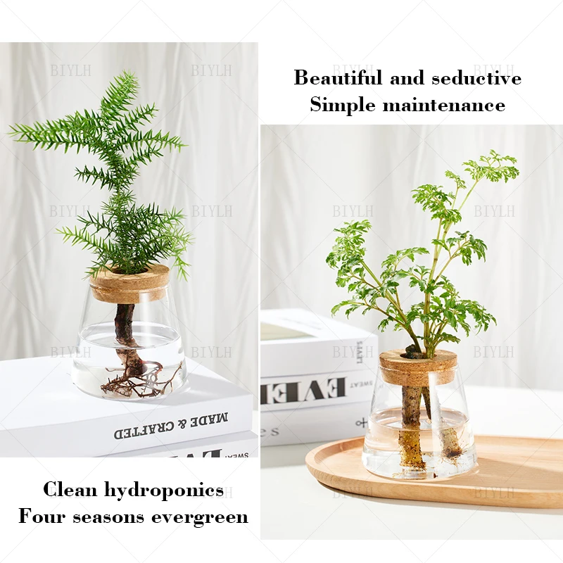 2/1 Pcs Hydroponic Plants Glass Flower Pots Home Decoration Transparent Small Vase Plant Pots With Base Tray Garden Accessories