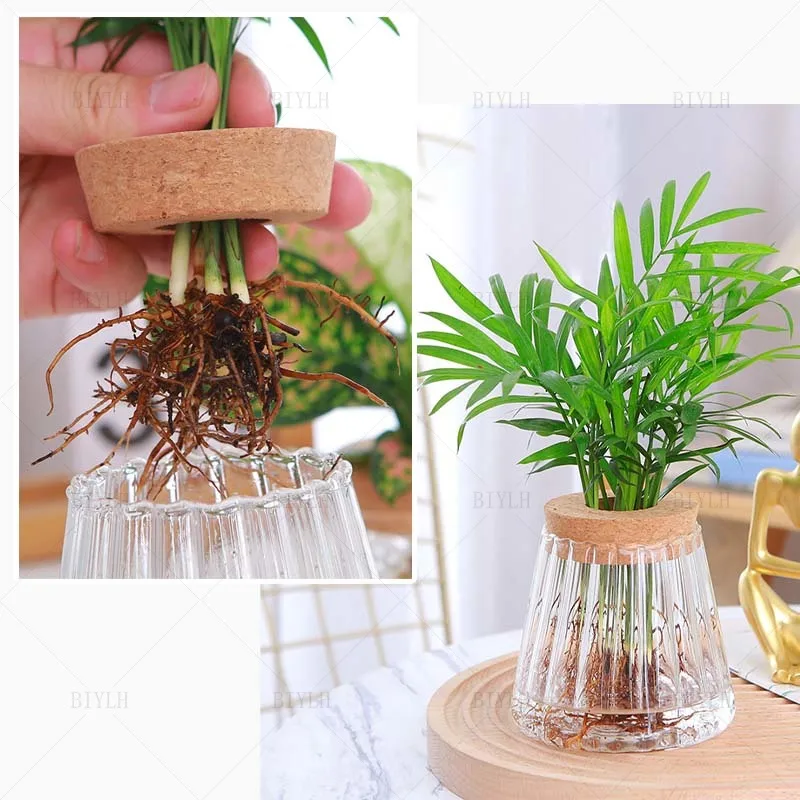 2/1 Pcs Hydroponic Plants Glass Flower Pots Home Decoration Transparent Small Vase Plant Pots With Base Tray Garden Accessories