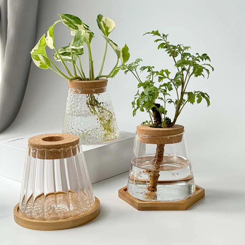 2/1 Pcs Hydroponic Plants Glass Flower Pots Home Decoration Transparent Small Vase Plant Pots With Base Tray Garden Accessories