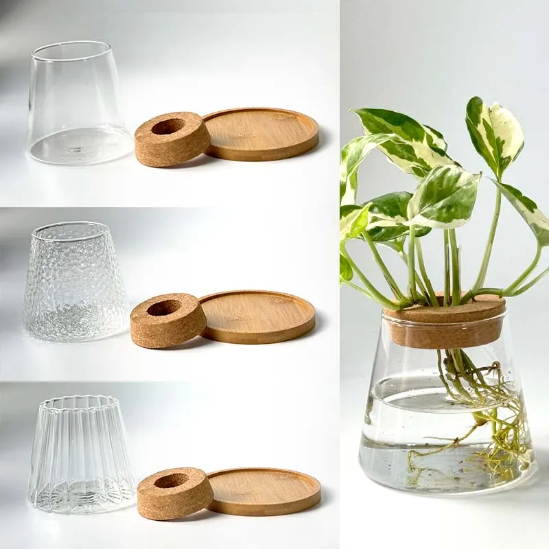 2/1 Pcs Hydroponic Plants Glass Flower Pots Home Decoration Transparent Small Vase Plant Pots With Base Tray Garden Accessories