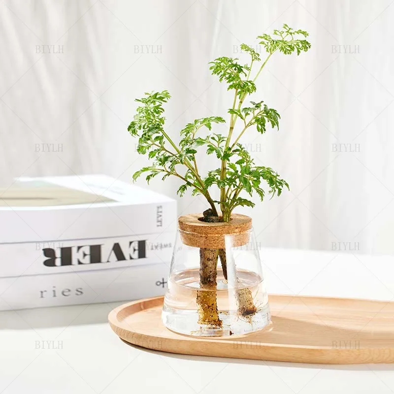 2/1 Pcs Hydroponic Plants Glass Flower Pots Home Decoration Transparent Small Vase Plant Pots With Base Tray Garden Accessories