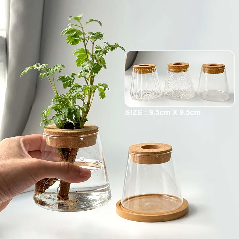 2/1 Pcs Hydroponic Plants Glass Flower Pots Home Decoration Transparent Small Vase Plant Pots With Base Tray Garden Accessories