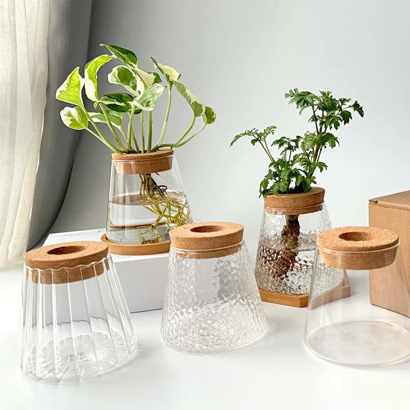 2/1 Pcs Hydroponic Plants Glass Flower Pots Home Decoration Transparent Small Vase Plant Pots With Base Tray Garden Accessories